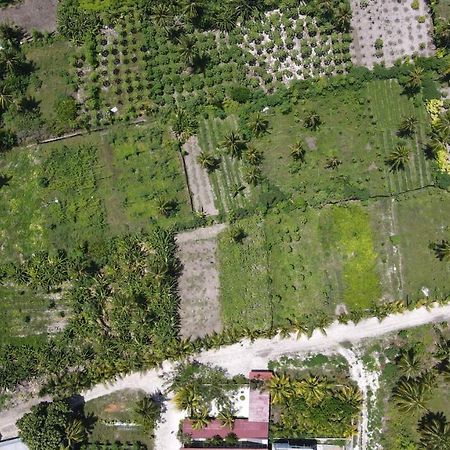 Hotel Thila Farm View Thoddoo Exterior foto