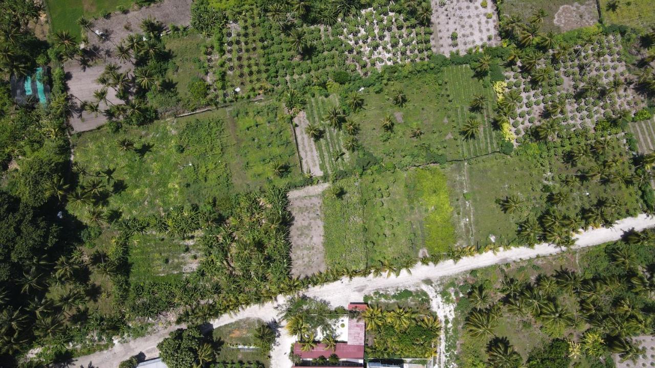 Hotel Thila Farm View Thoddoo Exterior foto