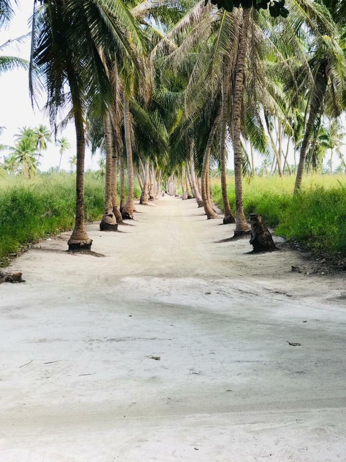 Hotel Thila Farm View Thoddoo Exterior foto