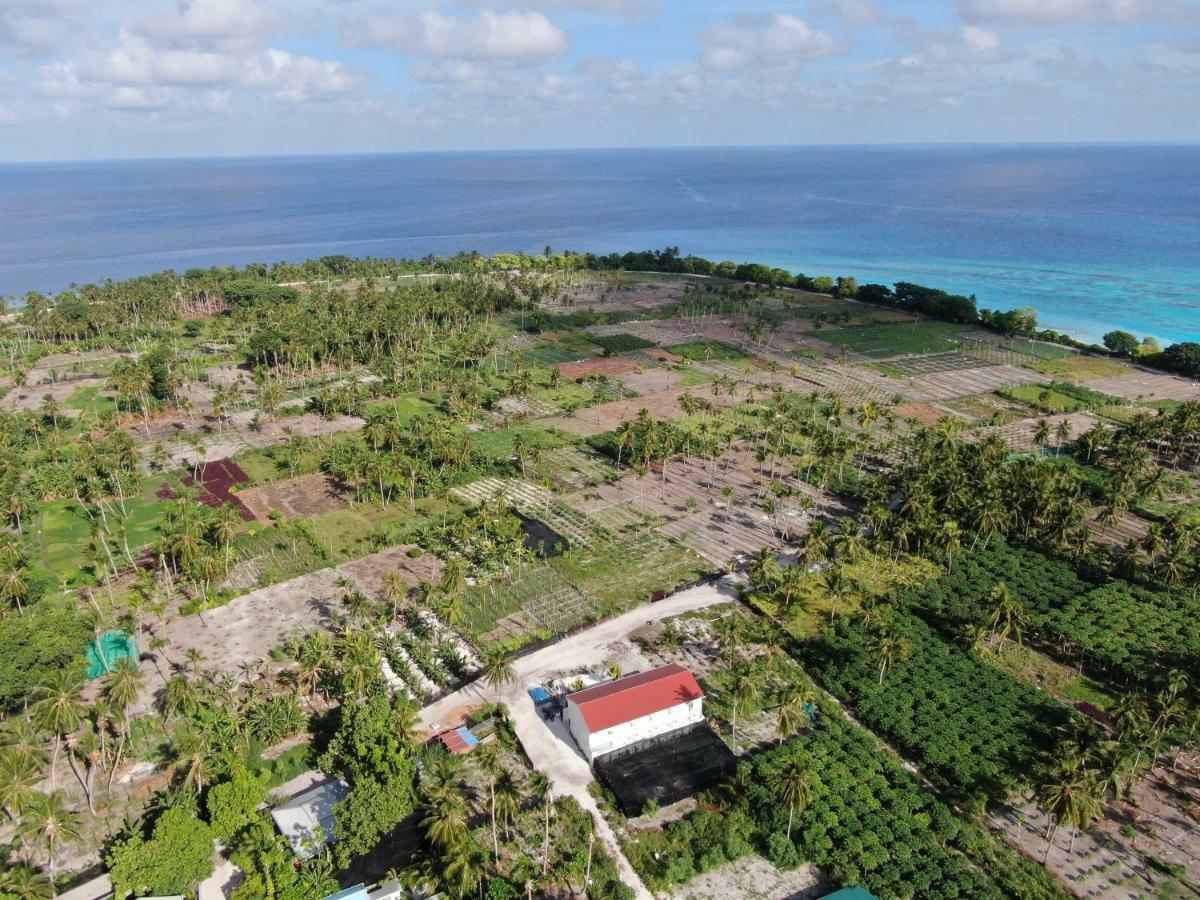 Hotel Thila Farm View Thoddoo Exterior foto