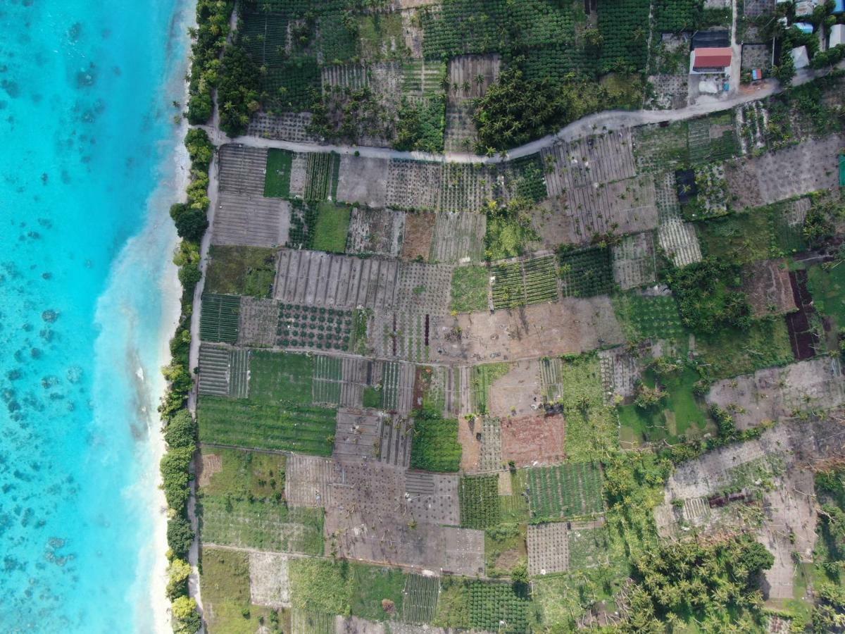 Hotel Thila Farm View Thoddoo Exterior foto